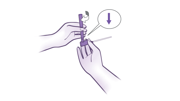 Source file to generate online quick guide images for LoFric Elle