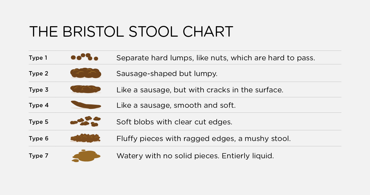 Bristol stool scale